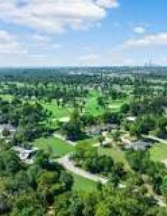 Aerial view of a tree-filled residential area